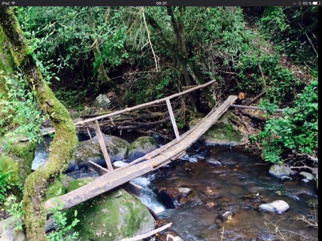 Cabanas Rahue Vilches Esterno foto