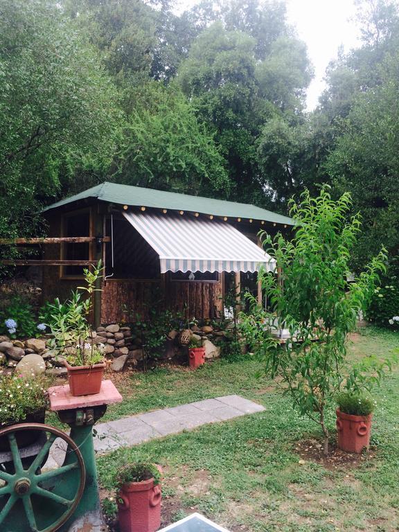 Cabanas Rahue Vilches Esterno foto